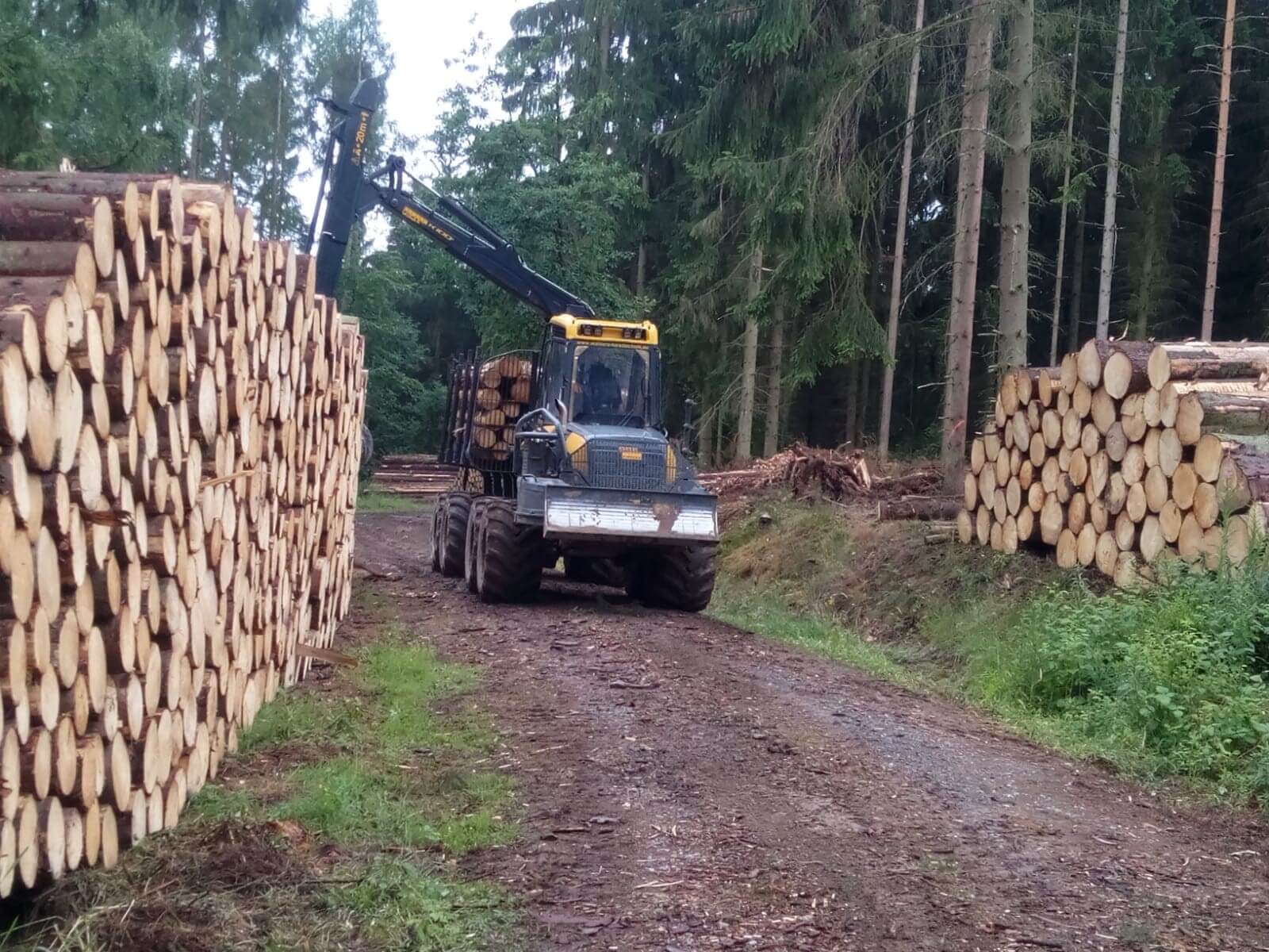 Inhaberin Antje Reul in ihrer Naturheilpraxis am Schreibtisch